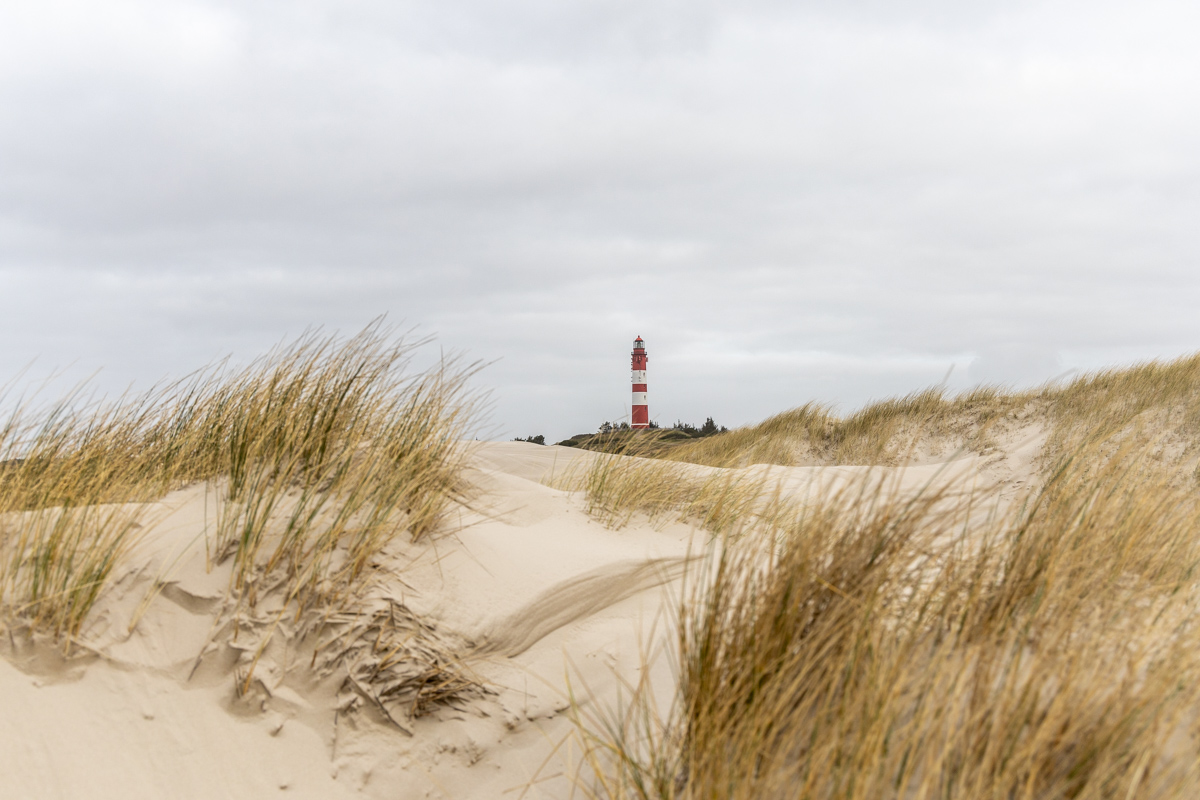 Rückblick durch die Dünen
