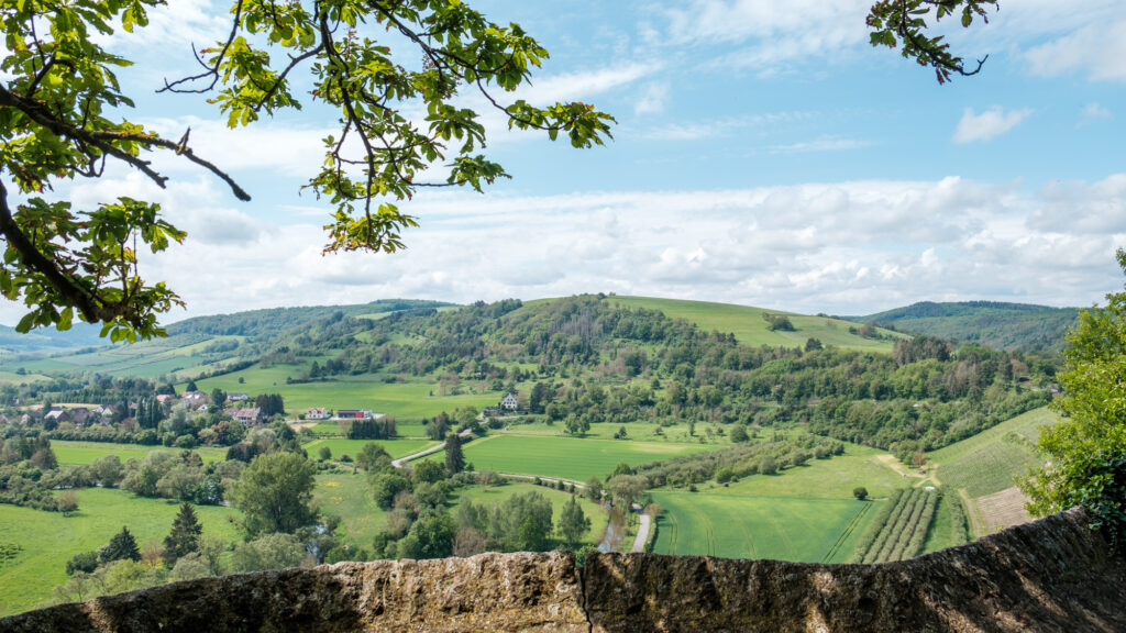 Wunderbare Aussicht vom Disibodenberg.