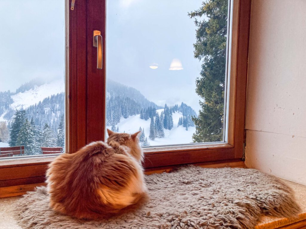 Einfach gemütlich: ein Wintermorgen auf der Priener Hütte.